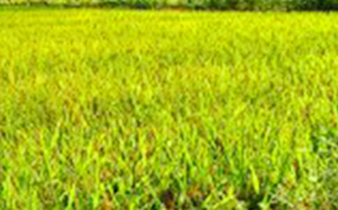 ��������Ұ����(�ϼ�15ƪ)