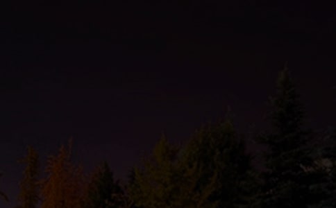 溫馨的晚安句子