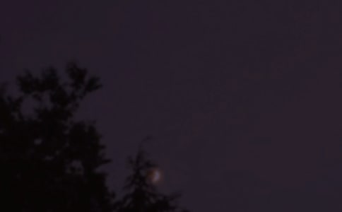 經(jīng)典優(yōu)美的晚安問(wèn)候語(yǔ)語(yǔ)錄匯總40句