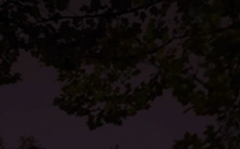 經(jīng)典美好的晚安心語(yǔ)語(yǔ)錄摘錄79句