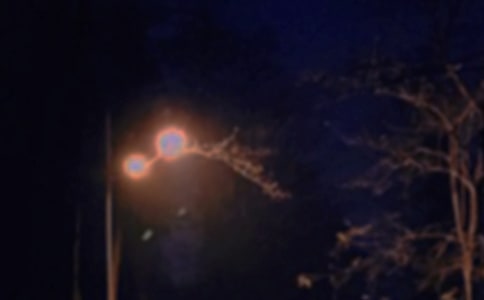 �����T�������������Z�