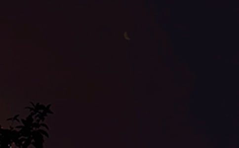 2023年簡單的晚安的語錄集錦40條