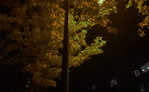 2025年實(shí)用的晚安心語(yǔ)語(yǔ)錄匯編76條