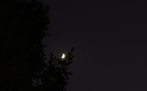 2024年精選優(yōu)美的晚安心語語錄38條