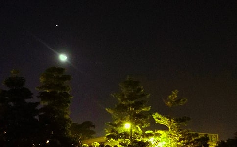 �������������Z�30��