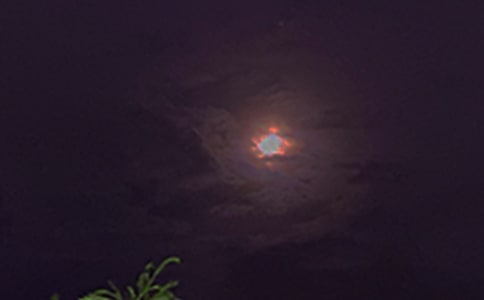 ÿ��һ���������Z�Z�ժ�67�l