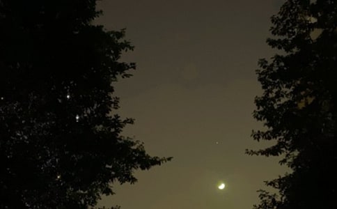 2020�꽛(j��ng)�䃞(y��u)����������(w��n)���Z(y��)�Z(y��)��\��50��