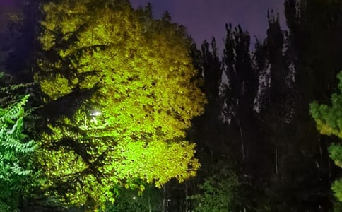 簡(jiǎn)單的晚安正能量的語錄錦集39條