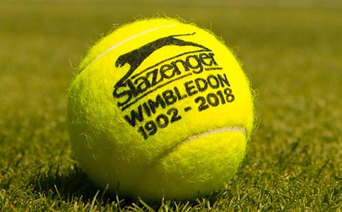 【精華】打網(wǎng)球作文15篇