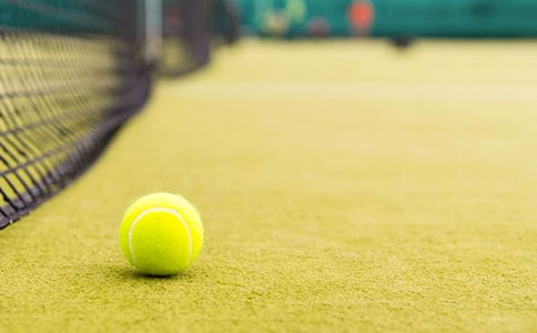 我愛打網(wǎng)球作文(精選20篇)