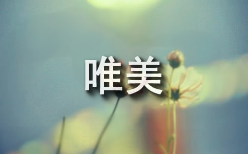 八個(gè)字的唯美句子