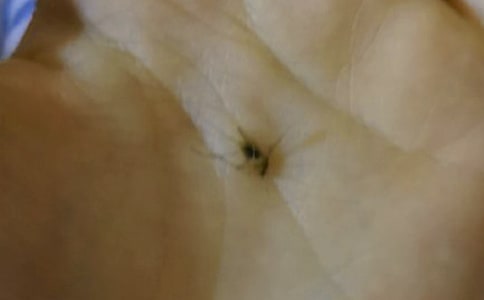 ���(zh��n)����܊�F(tu��n)