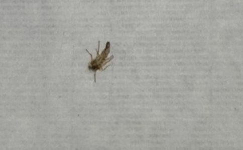 [��Ʒ]���Ӵ��(zh��n)����