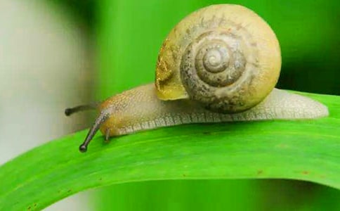 С�W���g(sh��)�̰�΁ţ