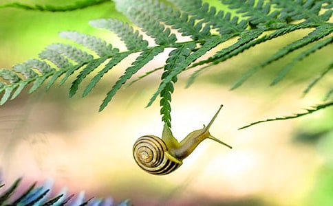 ������g(sh��)�̰���΁ţ