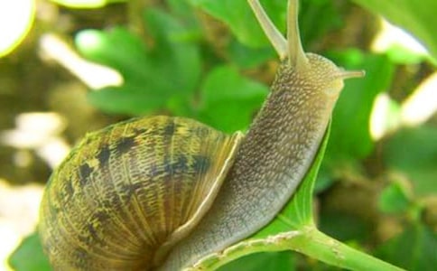 ΁ţ������