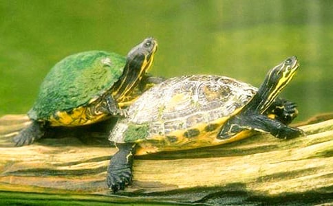 ������������