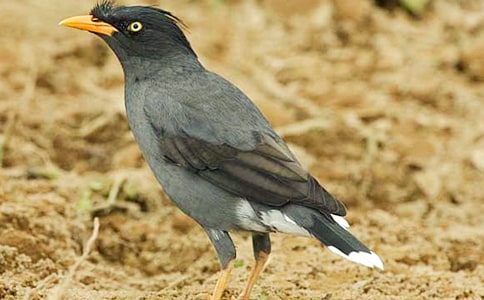 ���f��ˮ�̌W�OӋ�����x5ƪ��