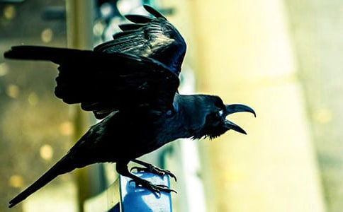 ���f��ˮ����