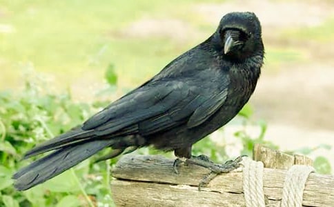 ���Ğ��f֮��