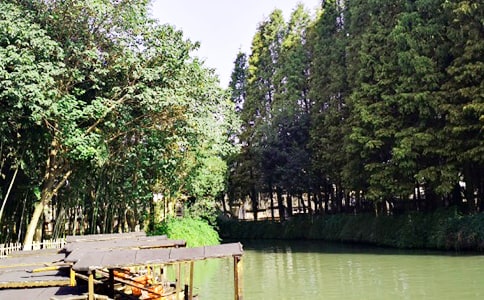 烏鎮(zhèn)游記作文