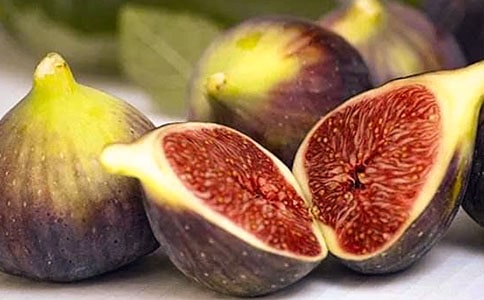 �o�������ľ��x(15ƪ)