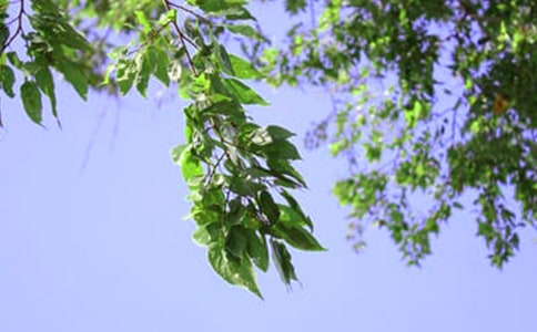 �P(gu��n)�ڜ�ܰ�簲����40�侫�x