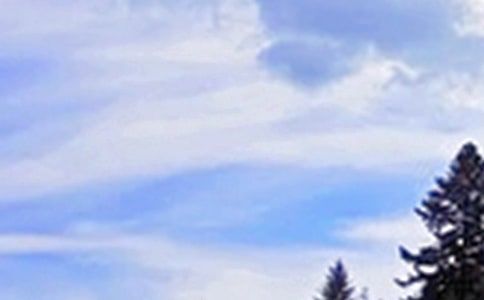 關(guān)于暖心午安句子30句