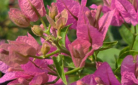 ���������簲�Z(y��)䛾��x15ƪ