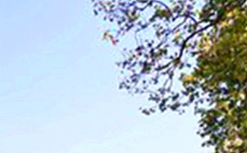 �P(gu��n)��ů���簲���ӣ����x80�䣩