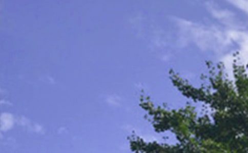 ���������簲�Z�