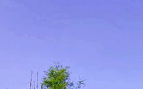 經(jīng)典正能量的午安語(yǔ)錄99句