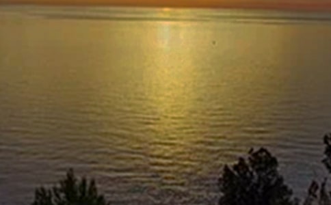 �簲�Z(y��)�45��