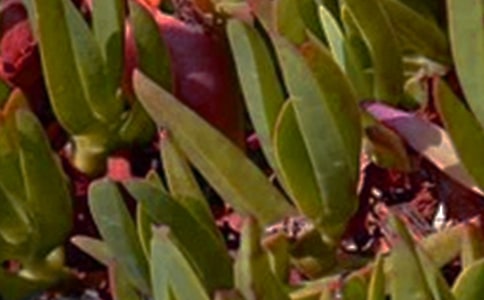 經(jīng)典正能量的午安語錄合集74句