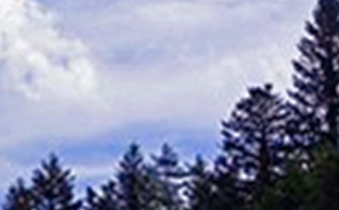 個(gè)性午安語(yǔ)錄匯總50句