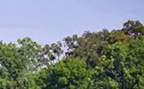 ��ܰ�簲�Z䛣����x30�䣩