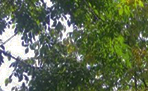 2021�꽛(j��ng)�����������簲�Z��\��86�l