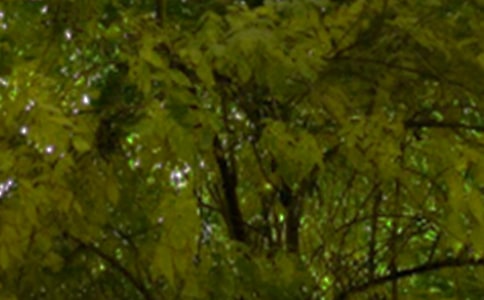 關(guān)于治愈午安語錄大全(通用50句)