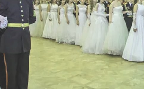 森林舞會(huì)的作文