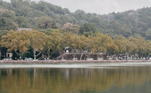 �κ�����������