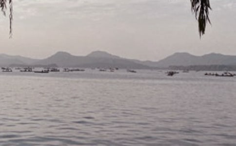 ���ݵ���������