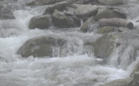 ��СϪ���ĸ衷 2