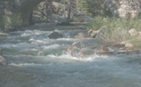 《小溪流的歌》的教學(xué)設(shè)計