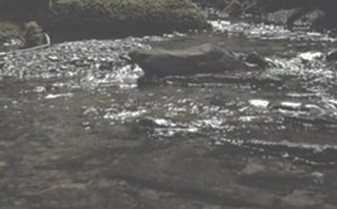 ��СϪ���ĸ衷 ֮һ