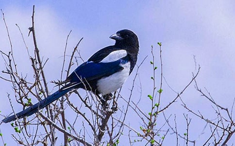 ��ϲ�o������