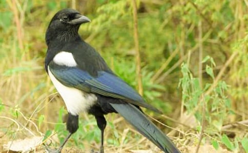 �����ϲ�o���̌W(xu��)�O(sh��)Ӌ(j��)�����x17ƪ��