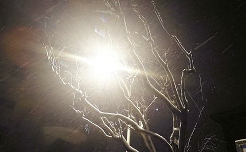 (��(y��u)�x)��ѩ��(y��u)������15ƪ