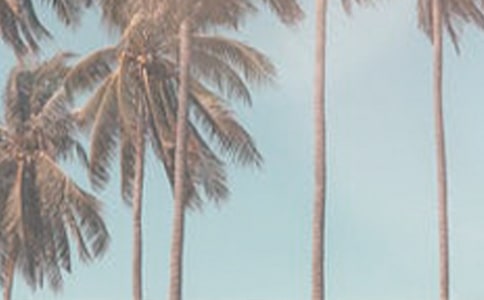 ��ϲ�g�ļ�����