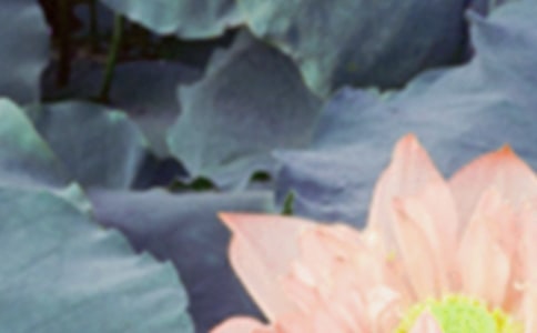 �����ľ���Ψ��