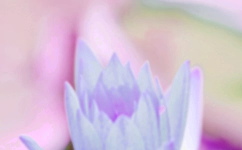 夏至節(jié)氣句子(通用480句)